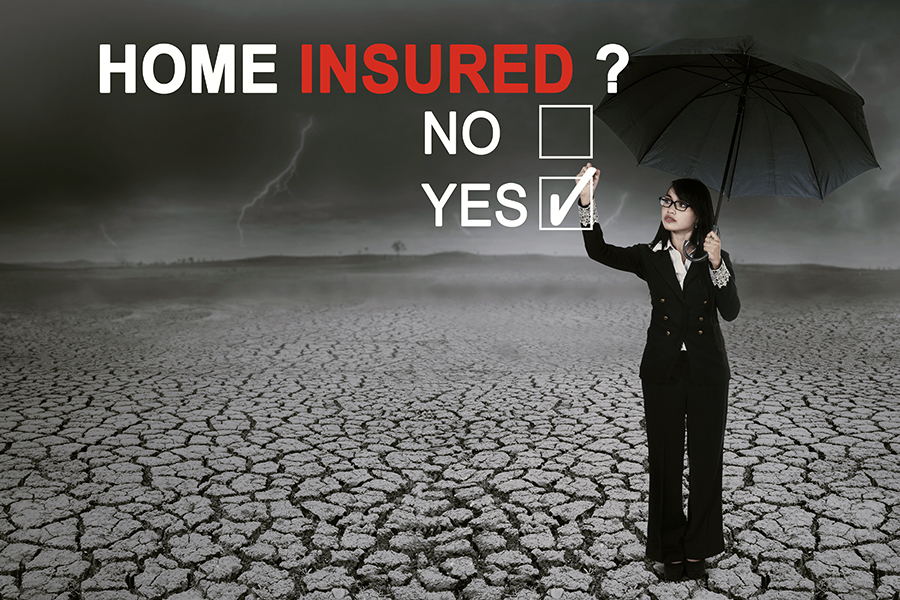 A Home Buyer' s Look at Homeowner's Insurance