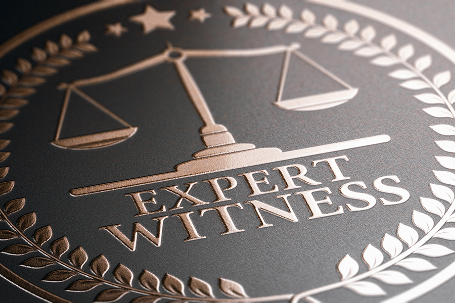 Do You Need an Expert Witness in a Criminal Case?